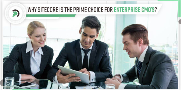 Why Sitecore is Perfect for Enterprise Development?